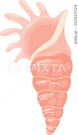 0403_seashell 102824324