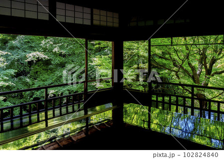 新緑のもみじと瑠璃光院　書院の風景　京都府京都市 102824840