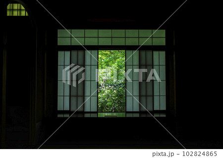 新緑のもみじと瑠璃光院　庭の風景　京都府京都市 102824865