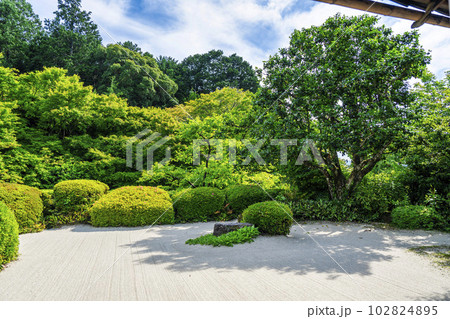 詩仙堂丈山寺 初夏の風景 新緑の庭園 京都府京都市 詩仙堂丈山寺 初夏の風景 新緑の庭園 京都府京都市 102824895