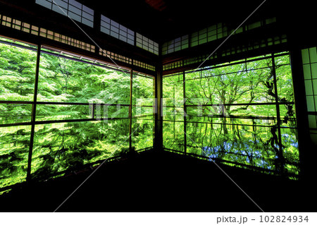 新緑のもみじと瑠璃光院　書院の風景　京都府京都市 102824934