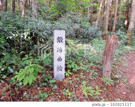 箕輪城跡　鍛冶曲輪 102825117