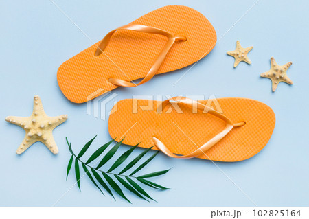 Flat lay composition with flip flops and seashell on colored background. Space for text top view Flat lay composition with flip flops and seashell on colored background. Space for text top view 102825164