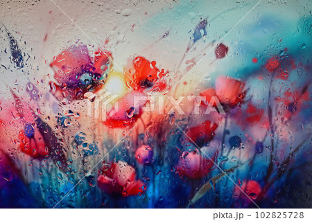 Red Poppy Fiield Behind Glass Window With Rain Drops 102825728