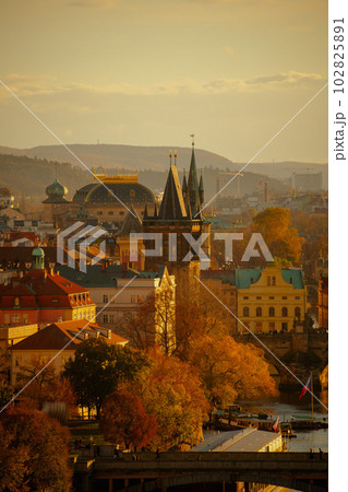 landscape with Old Town Bridge Tower 102825891