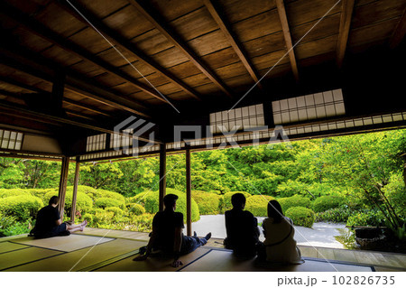 詩仙堂丈山寺の風景　新緑の庭園を眺める人のシルエット　京都府京都市 102826735