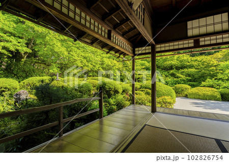 詩仙堂丈山寺 初夏の風景 新緑の庭園 京都府京都市 詩仙堂丈山寺 初夏の風景 新緑の庭園 京都府京都市 102826754