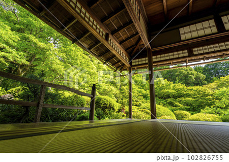 詩仙堂丈山寺　初夏の風景　新緑の庭園　京都府京都市 102826755