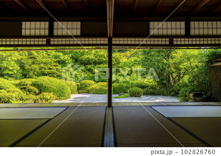詩仙堂丈山寺　初夏の風景　新緑の庭園　京都府京都市 102826760