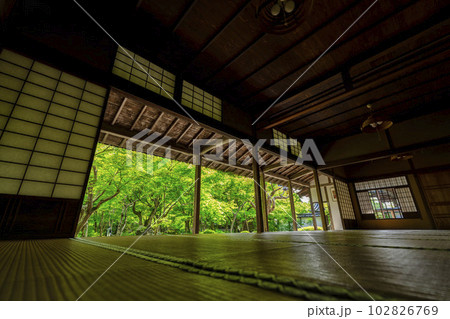 圓光寺の風景　書院から見た新緑の庭園　京都府京都市 102826769