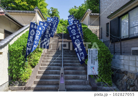 初夏の勝林寺 参道の階段 京都府京都市 初夏の勝林寺 参道の階段 京都府京都市 102827055