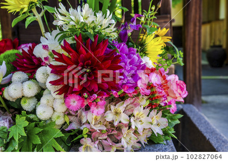 初夏の勝林寺　花手水　京都府京都市 102827064