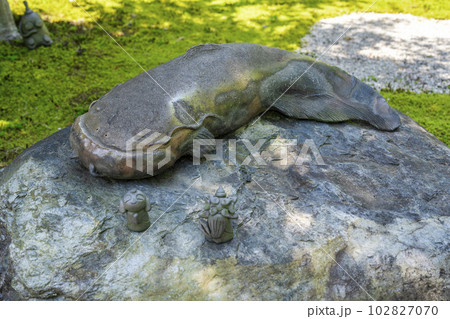 初夏の勝林寺　眠りナマズ　京都府京都市 102827070