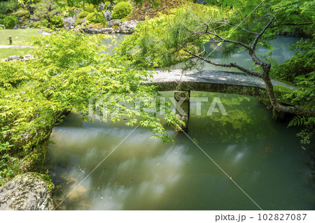 初夏の青蓮院門跡 龍心池と相阿弥の庭 京都府京都市 初夏の青蓮院門跡 龍心池と相阿弥の庭 京都府京都市 102827087