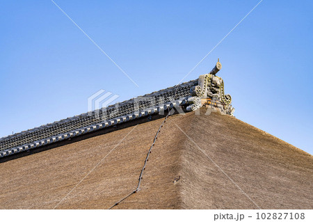 初夏の音羽山 清水寺 本堂の屋根と鬼瓦 京都府京都市 初夏の音羽山 清水寺 本堂の屋根と鬼瓦 京都府京都市 102827108