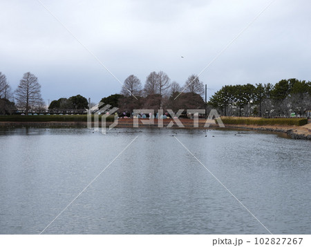 河内町散策 河内町散策 102827267