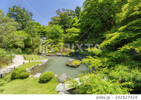 初夏の青蓮院門跡 龍心池と相阿弥の庭 京都府京都市 初夏の青蓮院門跡 龍心池と相阿弥の庭 京都府京都市 102827428