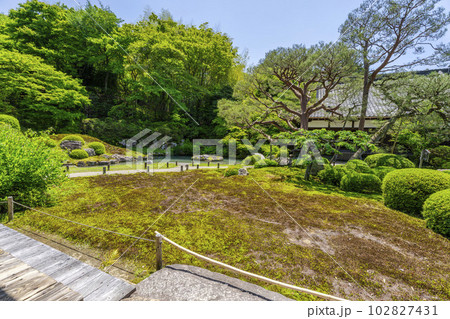 初夏の青蓮院門跡 龍心池と相阿弥の庭 京都府京都市 初夏の青蓮院門跡 龍心池と相阿弥の庭 京都府京都市 102827431