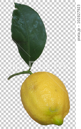 lemon fruit transparent PNG 102827923