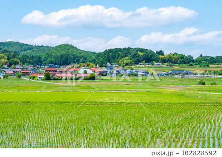長閑な農村の風景 長閑な農村の風景 102828592