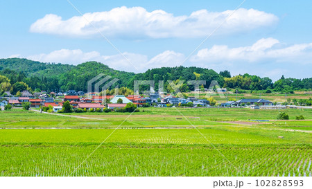 長閑な農村の風景 長閑な農村の風景 102828593