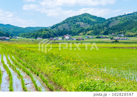 長閑な農村の風景 102828597