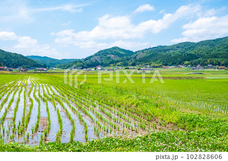 長閑な農村の風景 102828606
