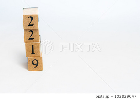 木のブロック　数字　4桁　2219 102829047