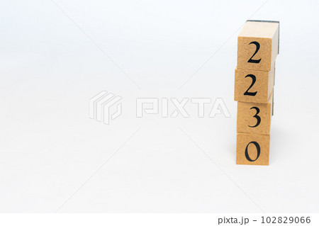 木のブロック　数字　4桁　2230 102829066