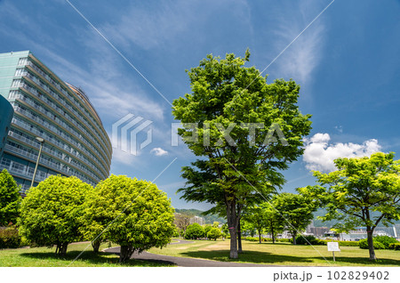 滋賀県大津市　なぎさ公園　琵琶湖畔の公園　 102829402