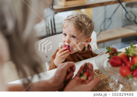 Grandmother giving homegrown strawberries to her little grandson. 102829488