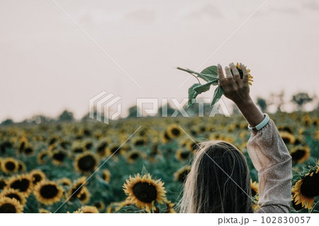 Woman in Sunflower Field: Happy girl in a straw hat posing in a vast field of sunflowers at sunset, enjoy taking picture outdoors for memories. Summer time. Woman in Sunflower Field: Happy girl in a straw hat posing in a vast field of sunflowers at sunset, enjoy taking picture outdoors for memories. Summer time. 102830057