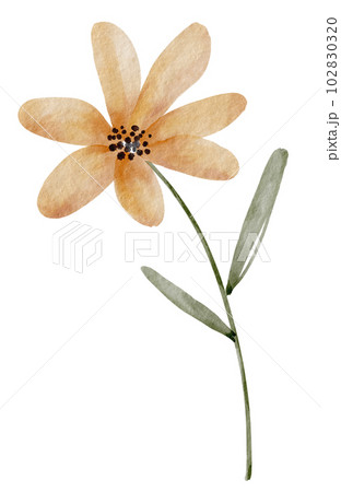 Yellow flower, watercolor illustration for postcards and design. Yellow flower, watercolor illustration for postcards and design. 102830320