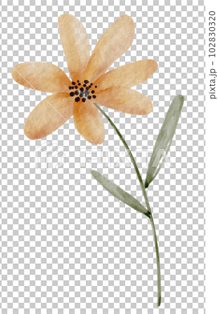 Yellow flower, watercolor illustration for postcards and design. Yellow flower, watercolor illustration for postcards and design. 102830320