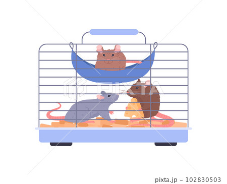 Rats in cage characters flat vector illustration isolated on white background. 102830503