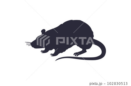 Black silhouette of rat or mouse, flat vector illustration isolated on white background. 102830513