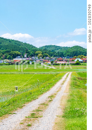 長閑な農村の風景 長閑な農村の風景 102830749