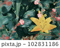 緑の中の黄色い百合の花 102831186