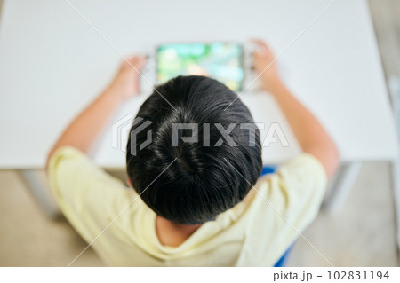 家庭用ゲーム機でゲームをする小学生の男の子 家庭用ゲーム機でゲームをする小学生の男の子 102831194