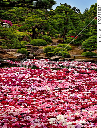 由志園の風景 由志園の風景 102831839