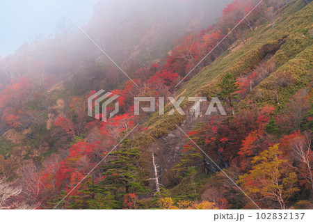 霧立つ紅葉の次郎笈の東斜面1　徳島県那賀郡那賀町 102832137
