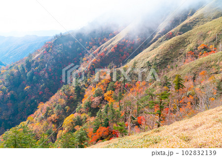 霧立つ紅葉の次郎笈の東斜面3　徳島県那賀郡那賀町 102832139