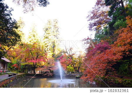 加茂山公園の紅葉(新潟県) 加茂山公園の紅葉(新潟県) 102832361