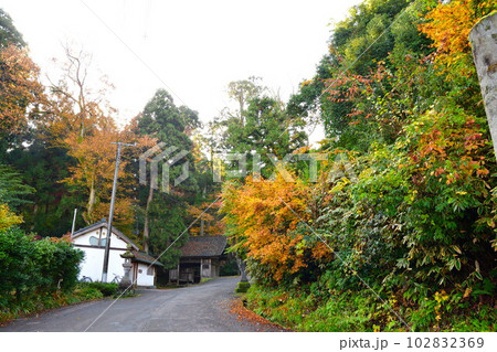 加茂山公園の紅葉（新潟県） 102832369