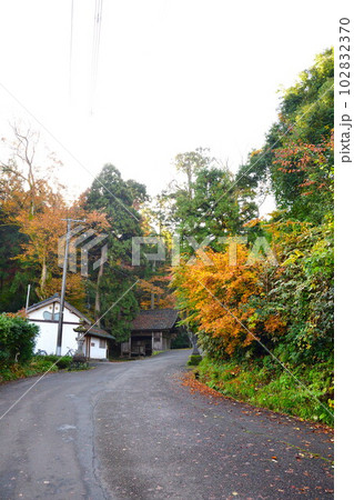 加茂山公園の紅葉（新潟県） 102832370