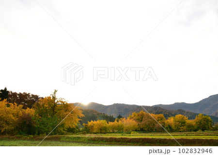 村松蛭野地区の紅葉(新潟県) 村松蛭野地区の紅葉(新潟県) 102832946