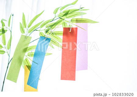 七夕と爽やかな夏の光のイメージ 102833020