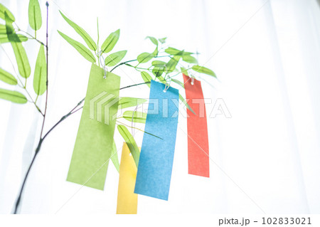 七夕と爽やかな夏の光のイメージ 102833021