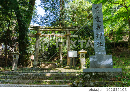 京都府亀岡市の愛宕神社　鳥居 102833108