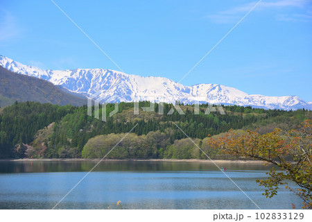 《長野県》春の大町市　新緑の青木湖と残雪の白馬三山 102833129